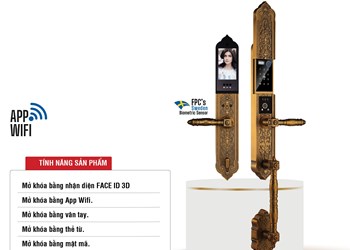 Khóa cửa đại sảnh Faster FS009GB BRASS